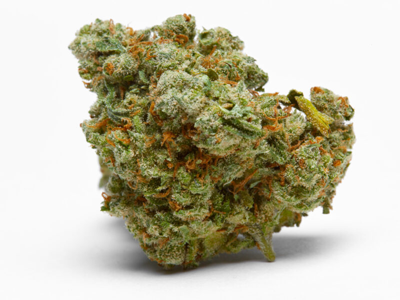 Jack Herer